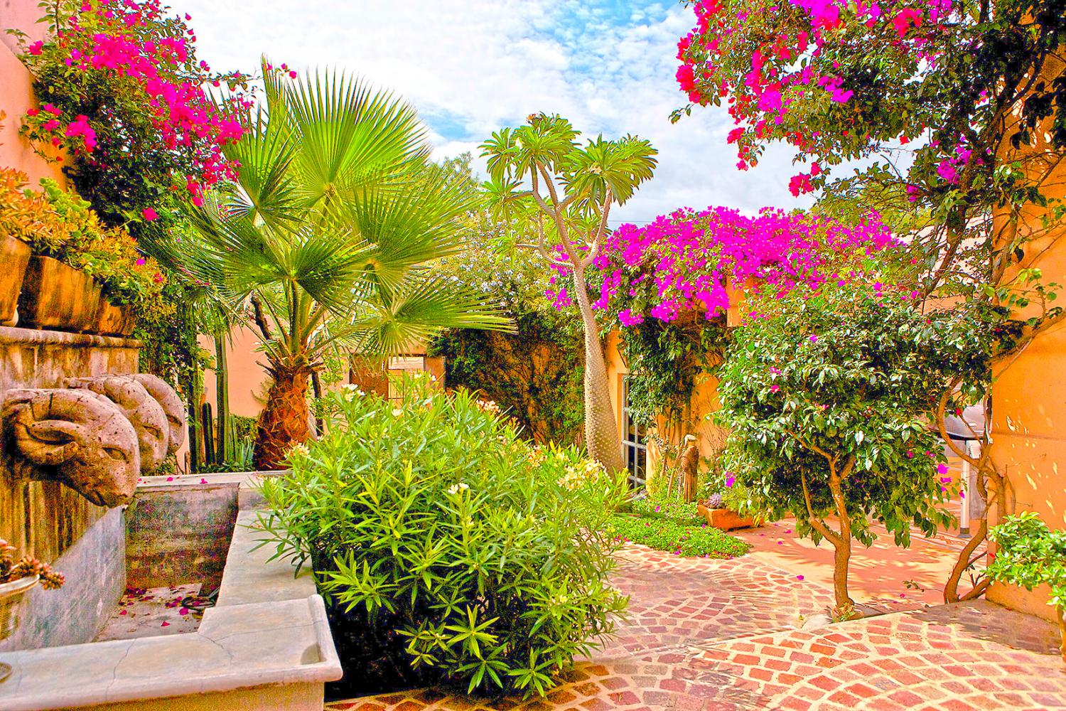 San Rafael Casa Oasis Vista al Jardín Desde la Sala de Estar