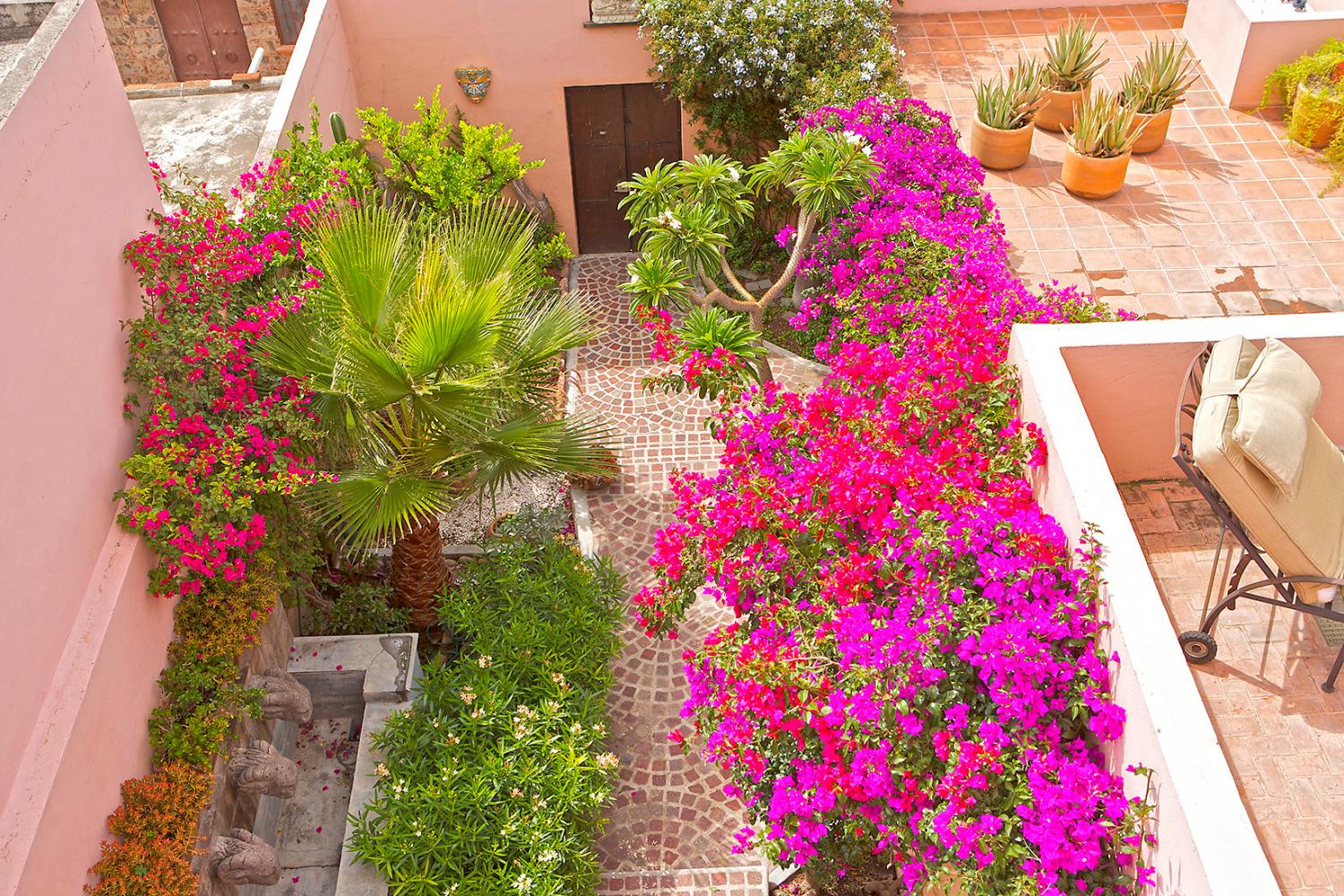 San Rafael Casa Oasis Vista al jardín Desde la Terraza del Tejado