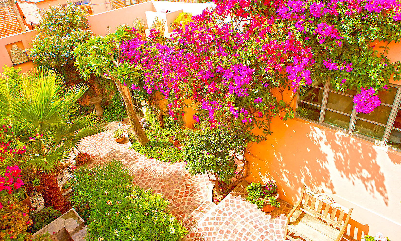 Garden view from terrace